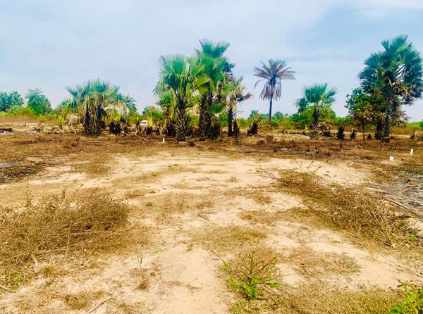 Sanyang Seaview land